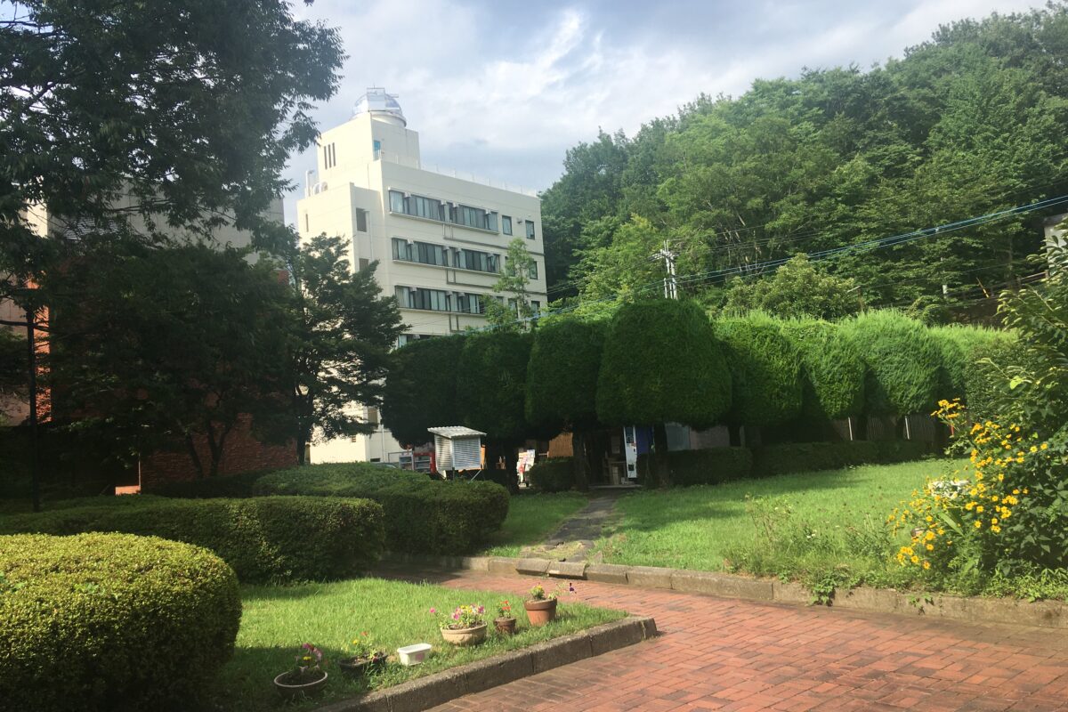 夏の自然科学棟